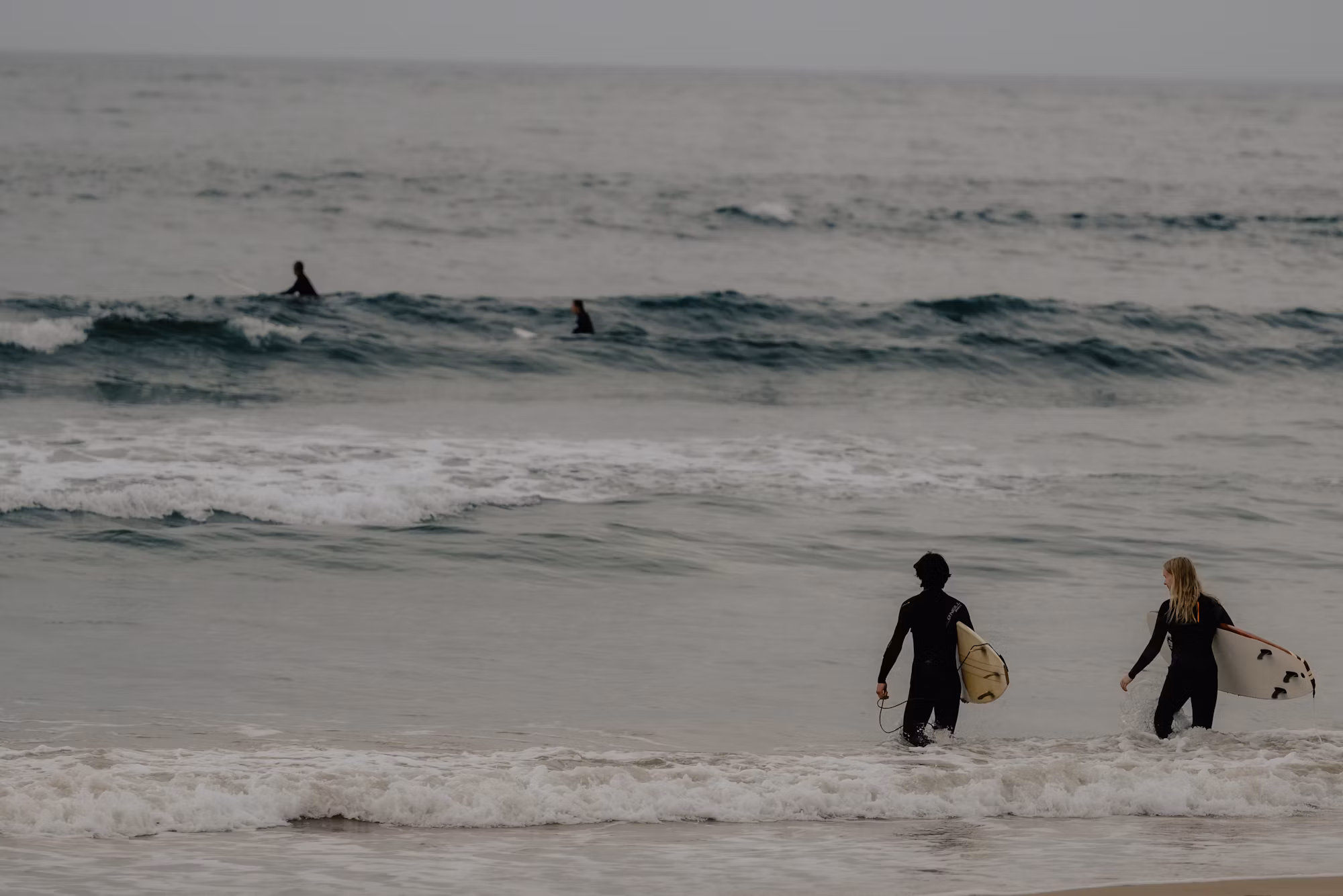 Exploring the World of Coffee: From Bean to Brew