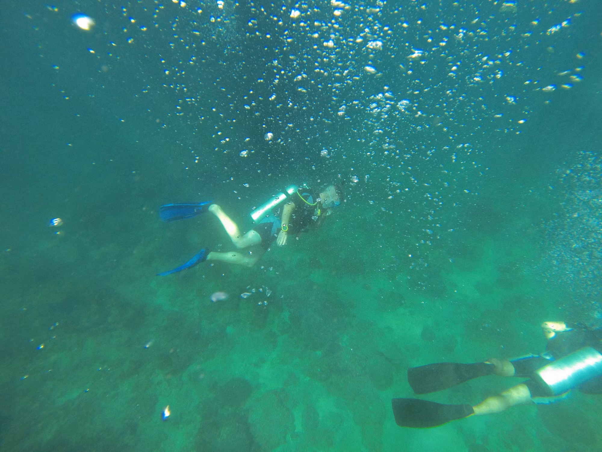 Diving into Adventure: A Comprehensive Guide to the Many Types of Diving