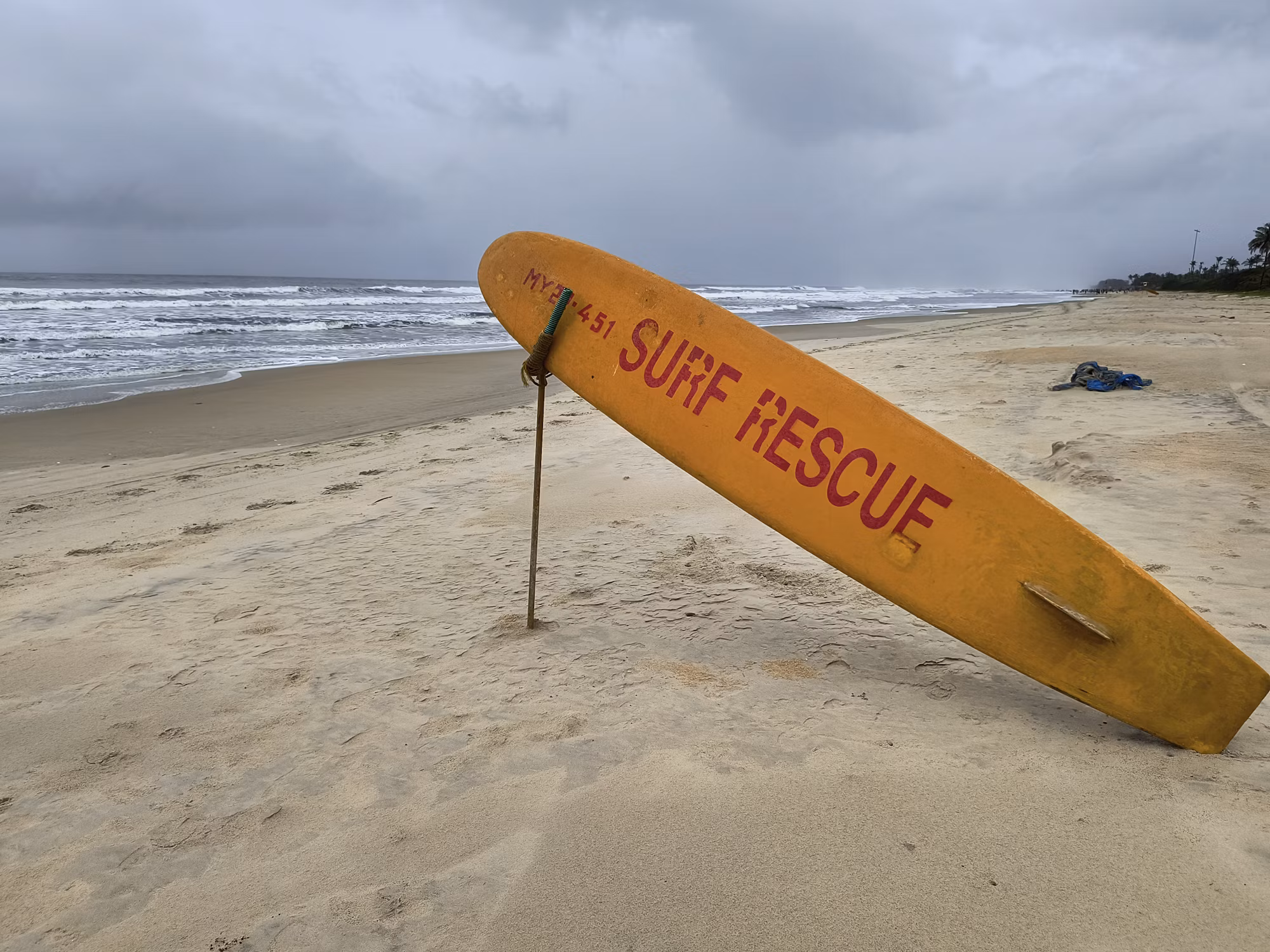 Embracing the Ocean: The Diverse World of Surfing Styles